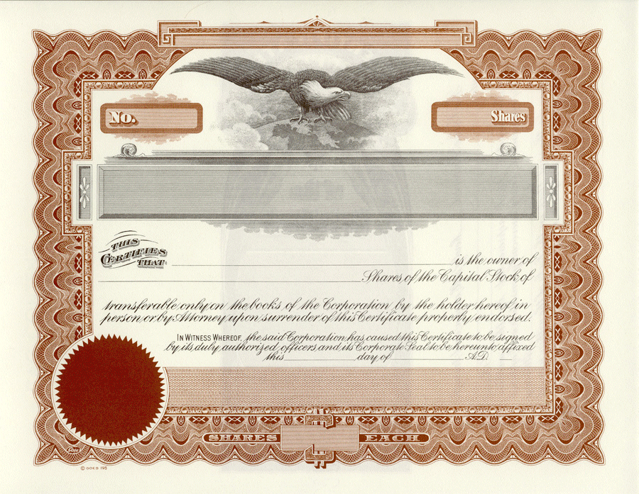 Springfield house early stages